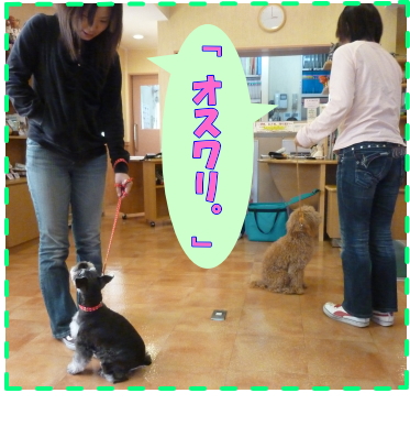 同時に「オスワリ。」