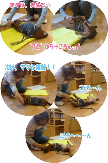 ボンくんゴロン練習①