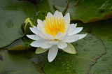 2460313d.jpg