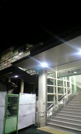 7288b216.jpg
