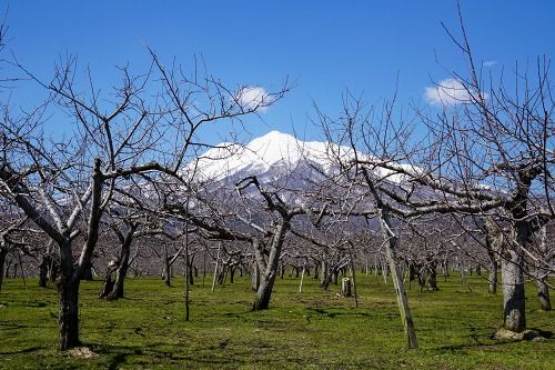 岩木山0412-11