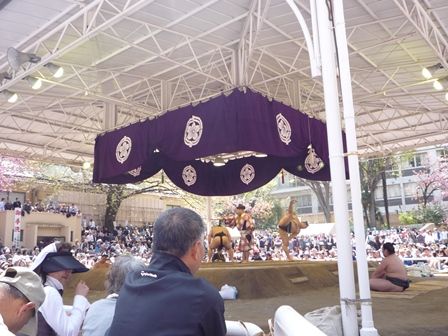 P1050581.jpg