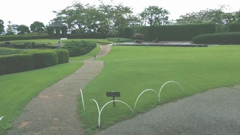 arimagarden