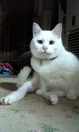 29d39f30.jpg
