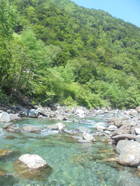 DSC07505