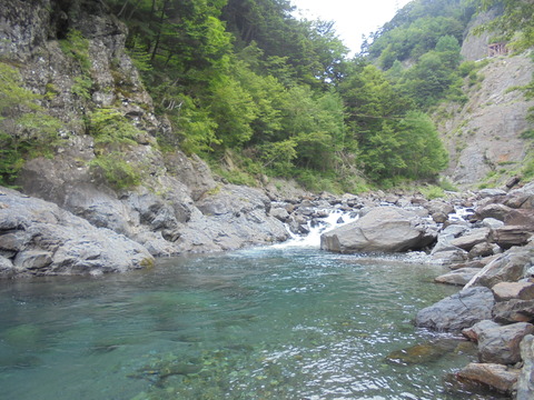 DSC07533