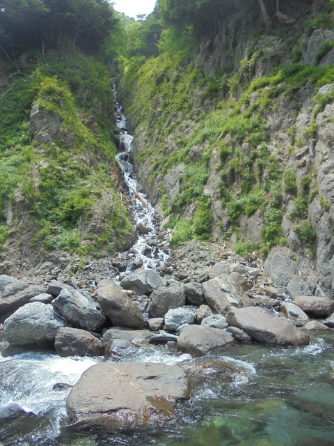 DSC07514