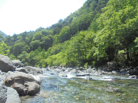 DSC07509