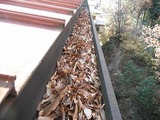 DSCF7643