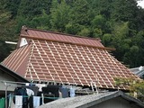 DSCF7213