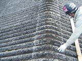 DSCF2167