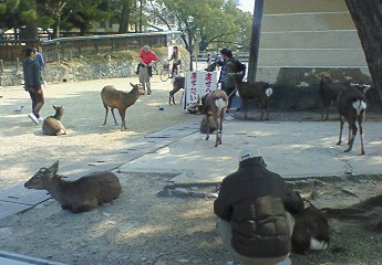 ryokou2