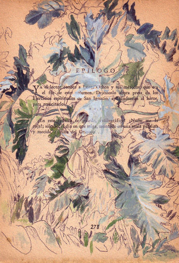4jungle