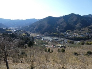 robai04