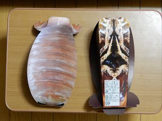 DSCN7767_R