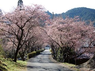 DSCN8003_R