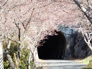 DSCN8034_R