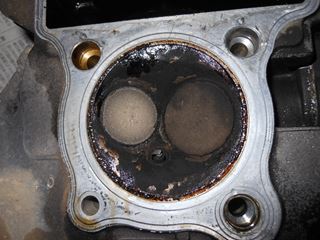 DSCN0035_R