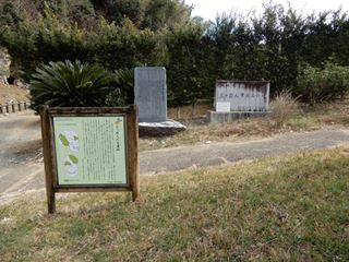 DSCN0090_R