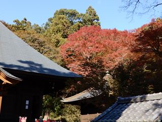 DSCN7300_R