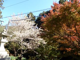 DSCN7290_R