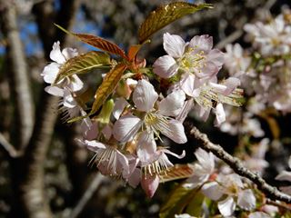 DSCN7289_R