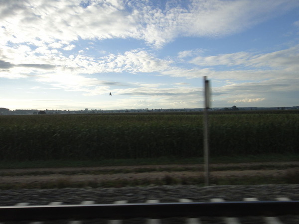 DSC01634