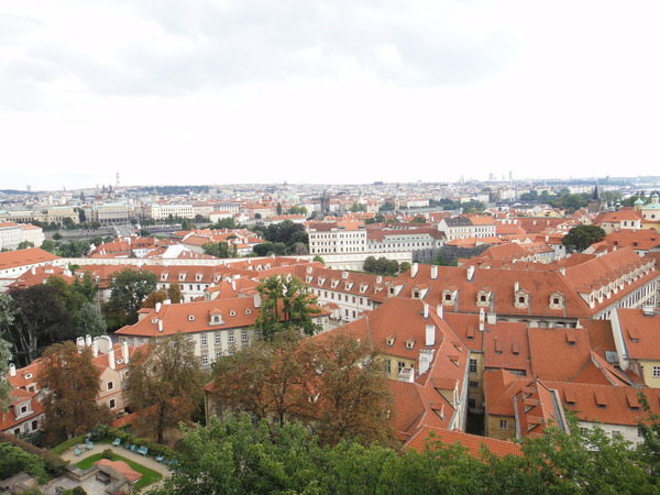 DSC00848