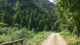 c6357166.jpg