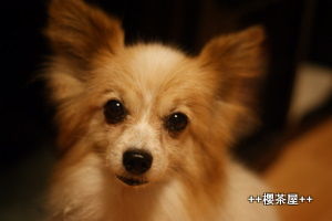 DSC07359