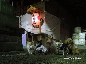 DSC00151