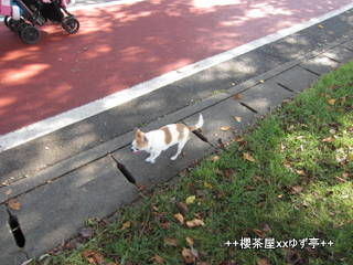 1-IMG_1309