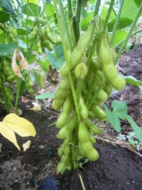 P1280012