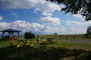 DSC07151