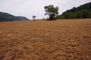 DSC06410
