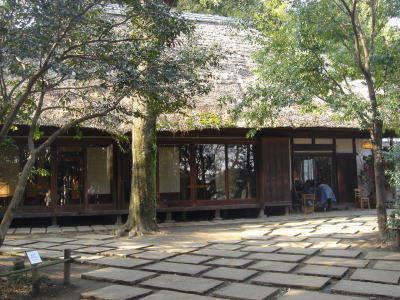 a821068c.jpg