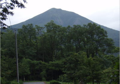 c69135c4.jpg