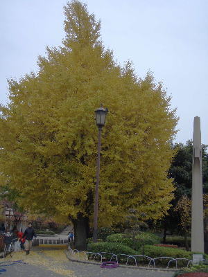 e46d558d.jpg