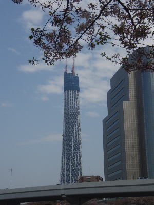 411sukai