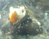 f38beca0.jpg