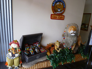 lion-10