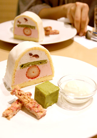箱根ｽｲｺﾚ 桜と苺のかまぼこケーキ メタボギア