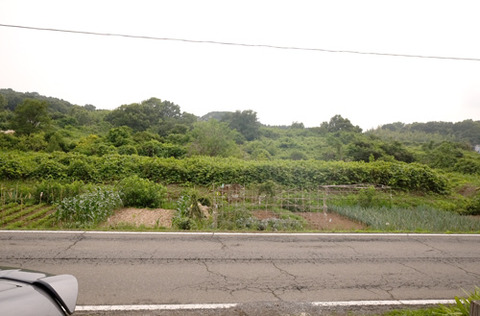 DSCF6588