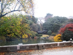 H301206IXYs075