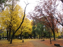 H301206IXYs078