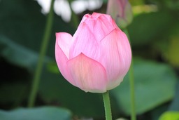H300712X4s080