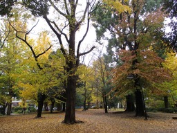 H301206IXYs080