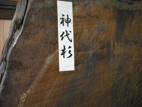 DSCF0979