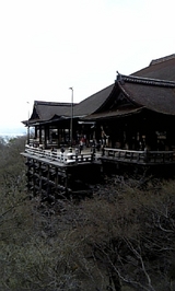 58c55941.jpg