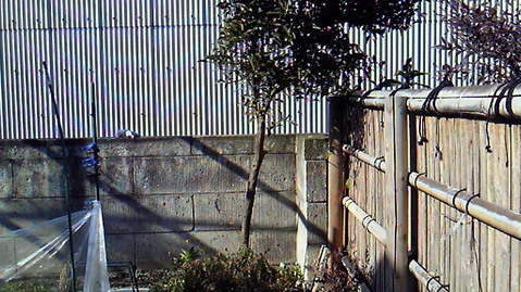 a0de4555.jpg
